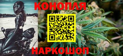 прущие грибы Краснознаменск