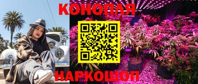 прущие грибы Краснознаменск