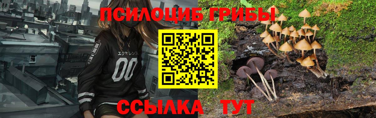 Галлюциногенные грибы Cubensis Кириши