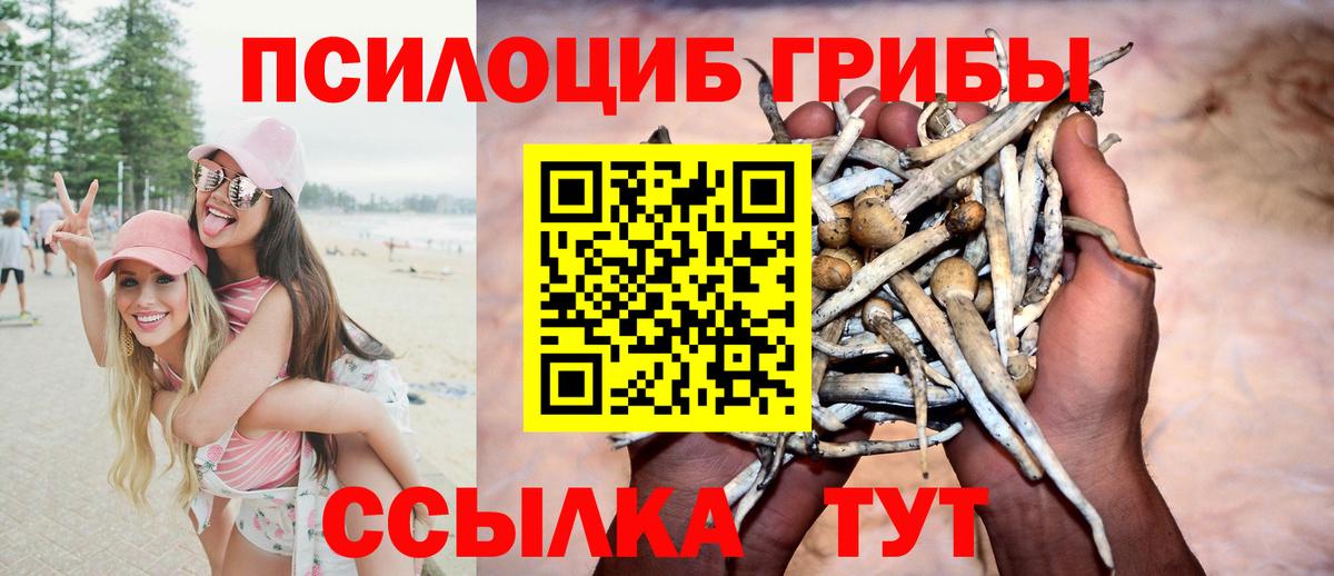 Галлюциногенные грибы мицелий  магазин продажи наркотиков  Кириши  Вход с VPN 